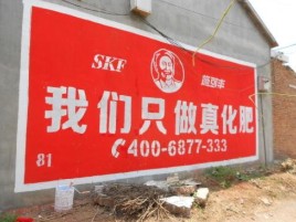 东兰刷墙广告”蕴含了时代命题