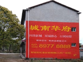 东兰百分之90的人都不了解的农村墙体广告