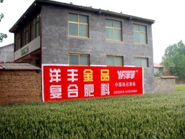 东兰如何让墙体广告展现最大化效果