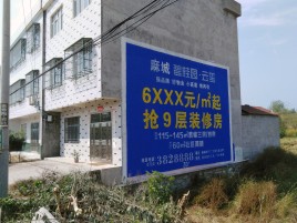 东兰墙体广告质量分析