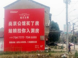 东兰墙体广告在乡镇、农村市场的媒体优势
