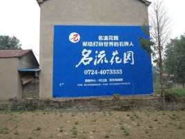 东兰农村墙体广告的长尾效应