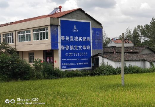 东兰决定墙体广告价格的因素有哪些？
