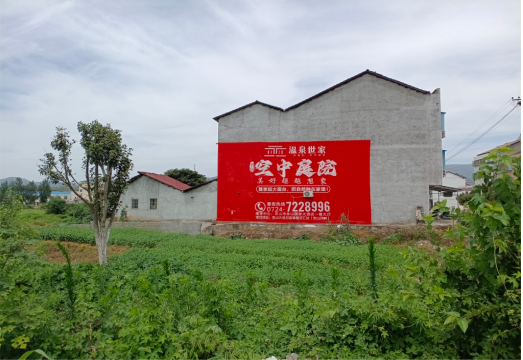 东兰做墙体广告的意义
