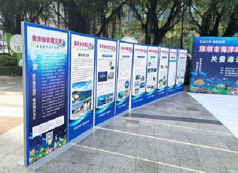 东兰KT板的种类和知识。